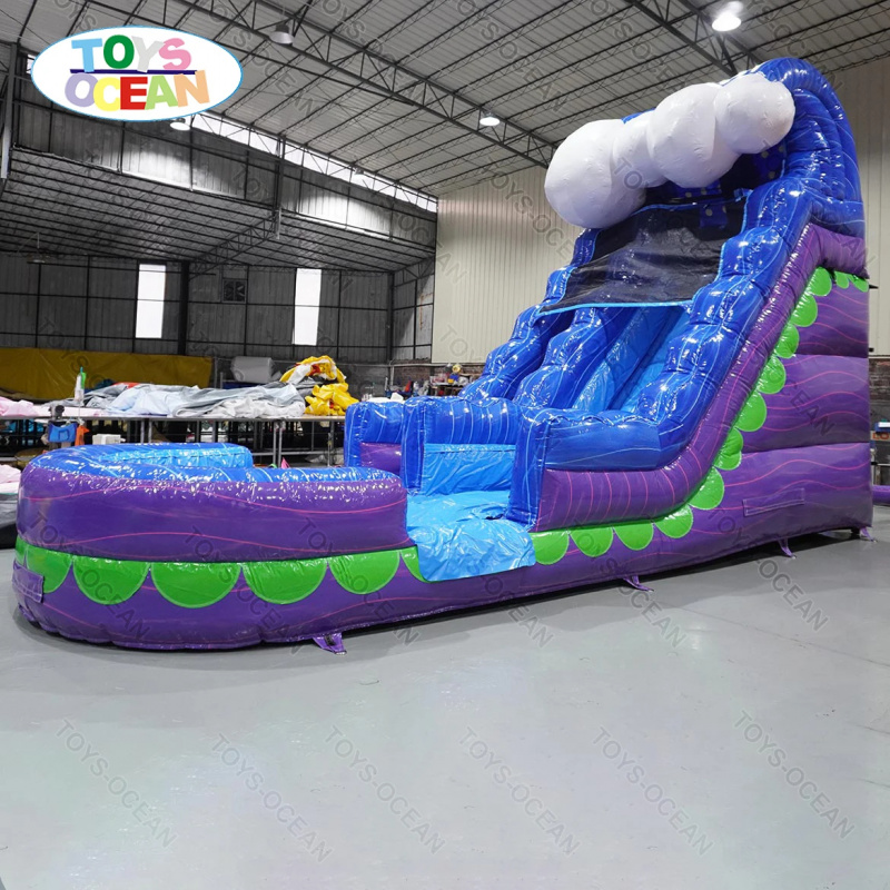 상업용 뒷마당 슬라이드 대여, 어린이와 성인용 수영장  - Water Slide Inflatable 리뷰 및 가격